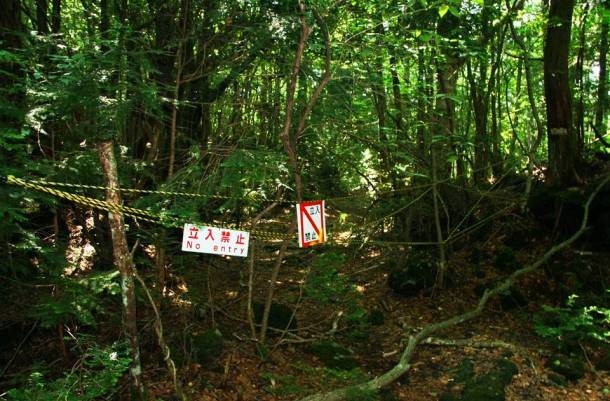 Khu rừng Aokigahara ở Nhật Bản là địa điểm tự sát rùng rợn khét tiếng phổ biến thứ hai thế giới sau cầu Cổng Vàng của Mỹ. Hàng trăm người đã đến khu rừng nhỏ tối tăm dưới chân núi Phú Sĩ -  địa điểm nổi tiếng thế giới ở Nhật Bản này để tự sát.